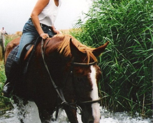 broodmare Fedina (unknown, 1985, from Fedor)