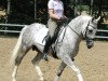 dressage horse Headhunter 2 (German Riding Pony, 2007, from Halifax)