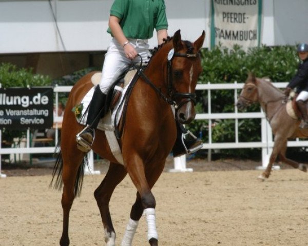 broodmare Koraika (German Riding Pony, 2002, from Kosmonaut ox)