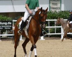 broodmare Koraika (German Riding Pony, 2002, from Kosmonaut ox)