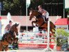 jumper Grotas (Latvian Warmblood, 2008, from Guidons)