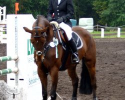 dressage horse Felitano (Hanoverian, 2002, from Fly High)