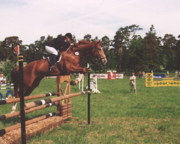 eventing horse Edd 4 (Thuringia, 1995, from Eklat)