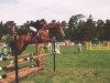 eventing horse Edd 4 (Thuringia, 1995, from Eklat)