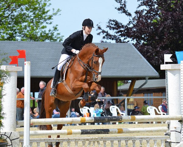 dressage horse Rüdiger Rabauke (unknown, 1996)