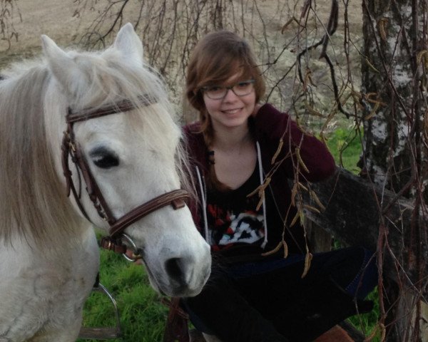 Pferd Finra (Welsh Pony (Sek.B),  , von Widukind Radnor)