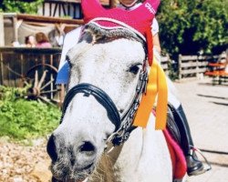 dressage horse Stormy (unknown, 2001)