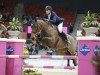 jumper Casana (Danish Warmblood, 2003, from Carano)