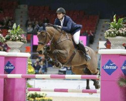 jumper Casana (Danish Warmblood, 2003, from Carano)