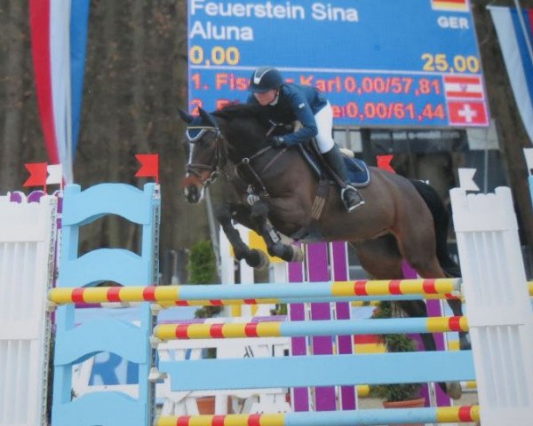 jumper Aluna 15 (Luxembourg horse, 2005, from Apiro)