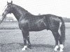 stallion Forsch (Hanoverian, 1940, from Feiner Kerl)