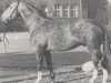 stallion Rendant (Westphalian, 1963, from Radetzky)