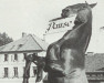 Pferd Domfalk (Hannoveraner, 1944, von Dwinger)