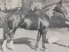 stallion Lohengrin (Hanoverian, 1959, from Lohmann)