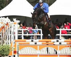 Springpferd Armani (Belgisches Warmblut, 2000, von Diamant de Semilly)