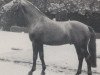 stallion Gardist (Rhinelander, 1973, from Garamond)