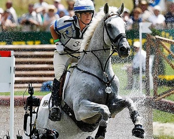 horse Ringwood Cockatoo (Irish Sport Horse, 1991, from Peacock xx)