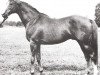 stallion Erotyk xx (Thoroughbred, 1965, from Turysta xx)