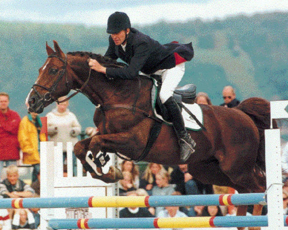stallion Almeto Z (Hanoverian, 1982, from Alme)