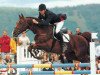 stallion Almeto Z (Hanoverian, 1982, from Almé)
