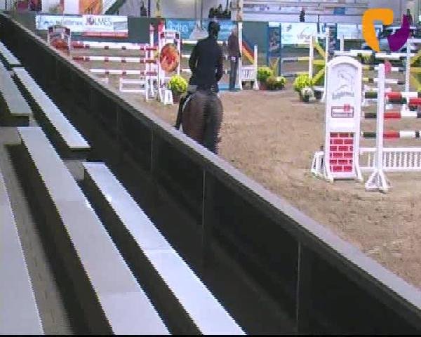 Salzkotten 2012
Freitag, den 12.10.2012
06.2. Springprüfung Kl. M** 1. Quali f. Nr. 8
