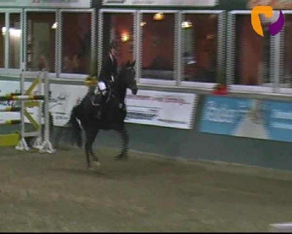 Salzkotten 2012
Freitag, den 12.10.2012
06.1. Springprüfung Kl. M** 1. Quali f. Nr. 8

