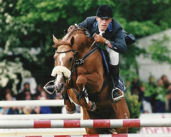 stallion Golden Joy J (Budyonny, 1984, from Rejs)