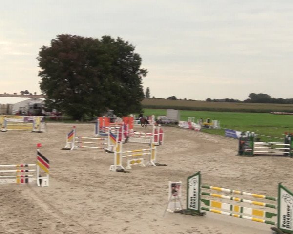 Springreitturnier Hohburg 2021