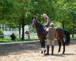 dressage horse Scardanelli (Hanoverian, 2003, from Sandro Hit)