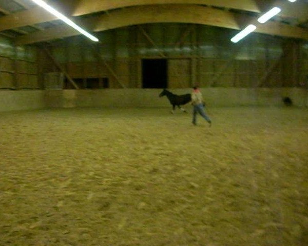 Video of Aprilstorm xx