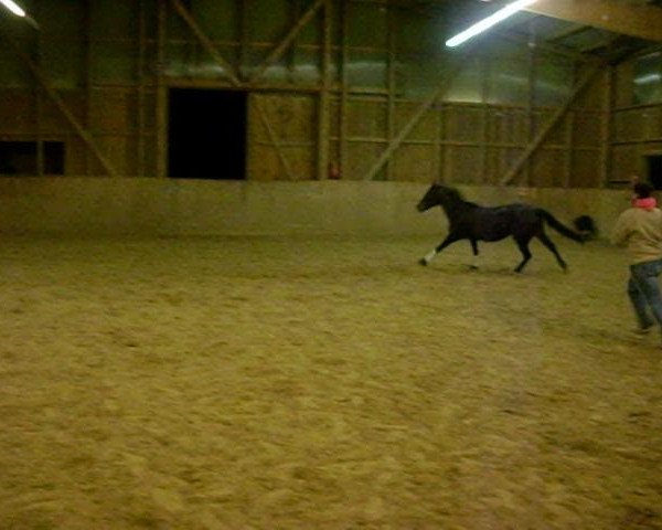 Video of Aprilstorm xx