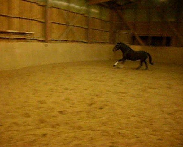Video of Aprilstorm xx