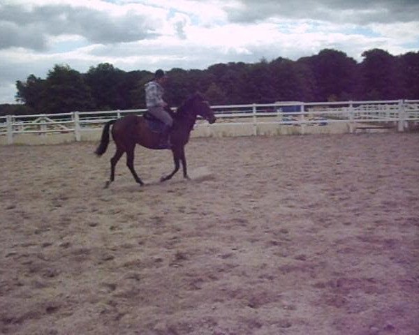 Video of Aprilstorm xx