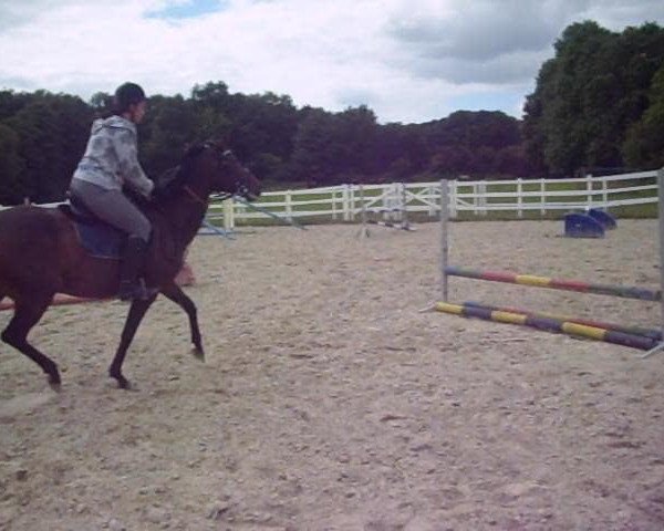 Video of Aprilstorm xx