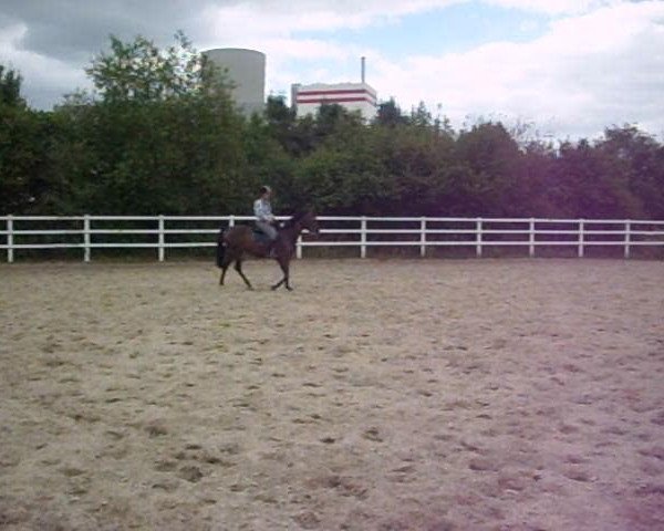 Video of Aprilstorm xx