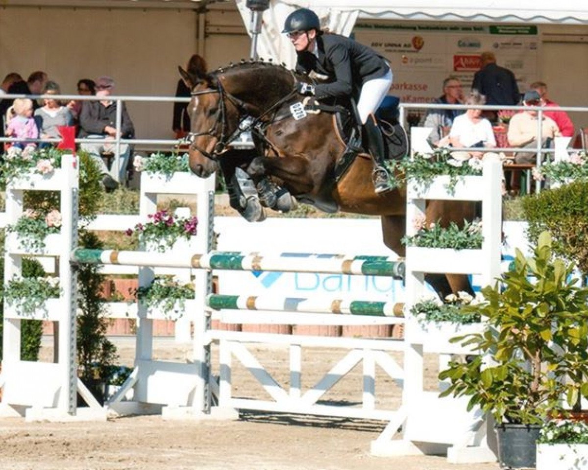 jumper Check Point Charly (Rhinelander, 2007, from Carving)
