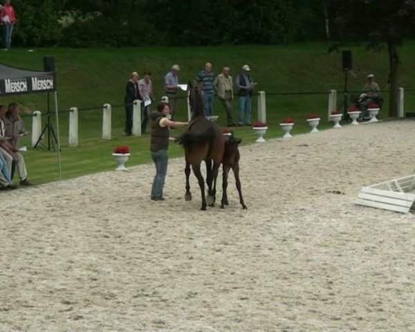 Video of Ayoush