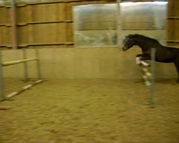 Video of Aprilstorm xx