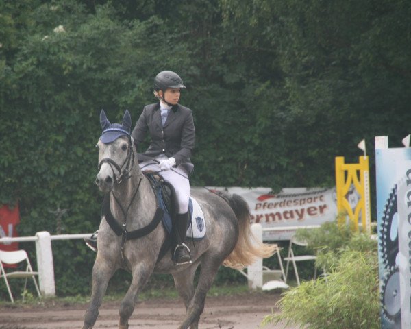 Springpferd Carino (Deutsches Reitpony, 2006, von Chardas)