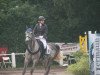 jumper Carino (German Riding Pony, 2006, from Chardas)