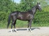 broodmare Prima (Akhal-Teke, 2000, from Mangyt)