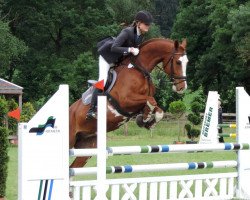 dressage horse Quinhagen (Westphalian, 2006, from Qusander)