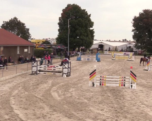 Springreitturnier Hohburg 2021