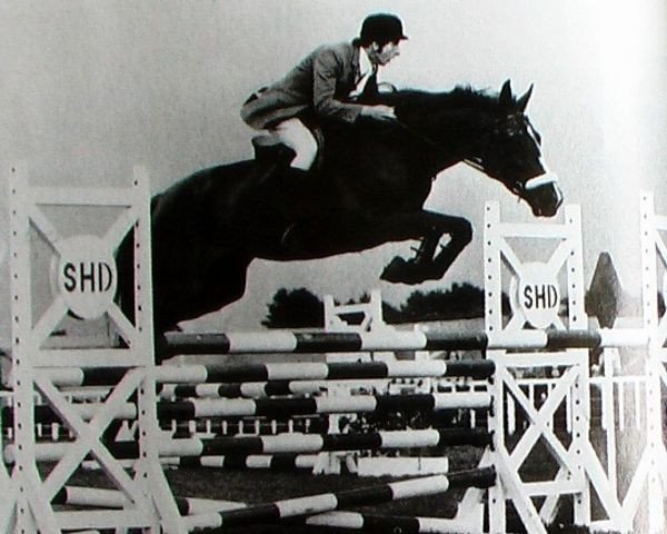 horse Celia de Paulstra (Selle Français, 1968, from Furioso xx)