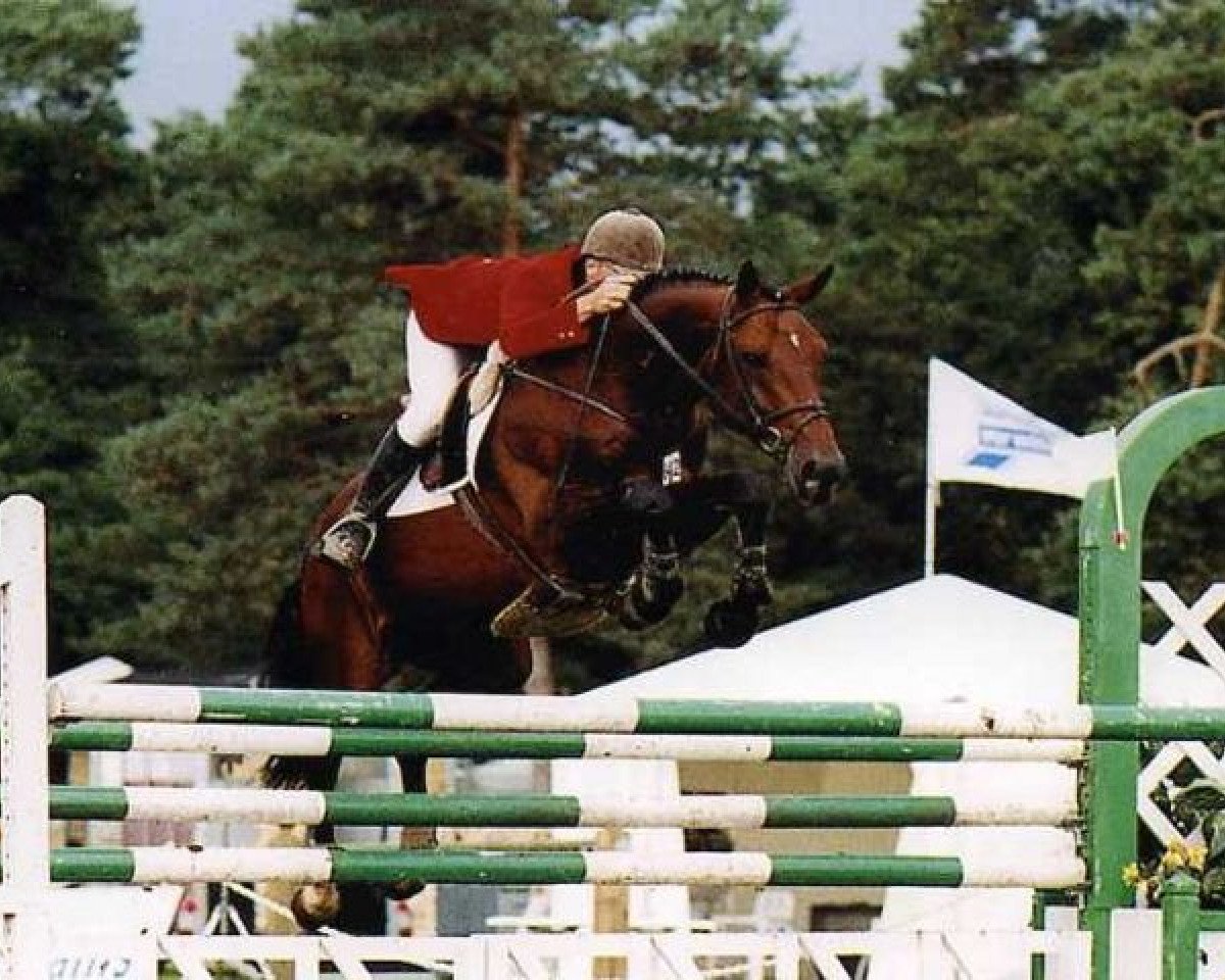 stallion Bhakti de Beaupre (Selle Français, 1989, from Quidam de Revel)