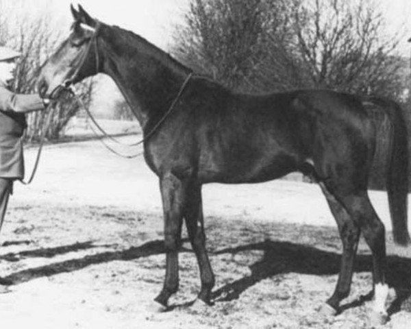 stallion Eratosthenes xx (Thoroughbred, 1957, from Guersant xx)