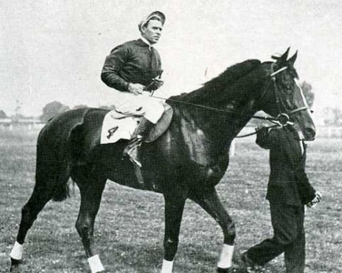 stallion Dadji xx (Thoroughbred, 1933, from Asterus xx)