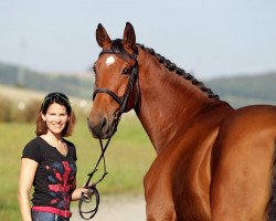 jumper Despina Vandi FS (Oldenburg show jumper, 2008, from Ludwig von Bayern 168 FIN)