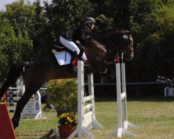 dressage horse Lacana (Westphalian, 2005, from Lacock)