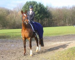 dressage horse Fire 103 (Westphalian, 2001, from Florestan I)